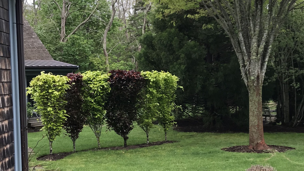 Photo of Outdoor in Dennis