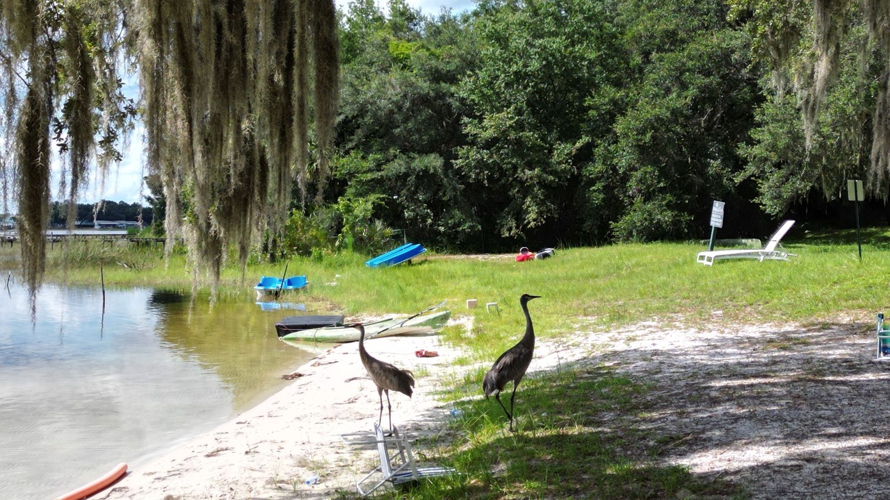 Photo of Outdoor in Salt Springs