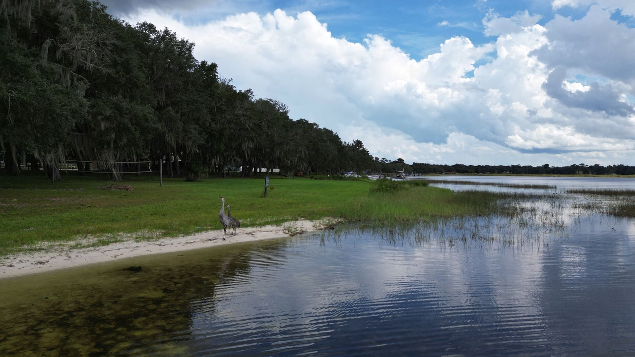Photo of Outdoor in Salt Springs