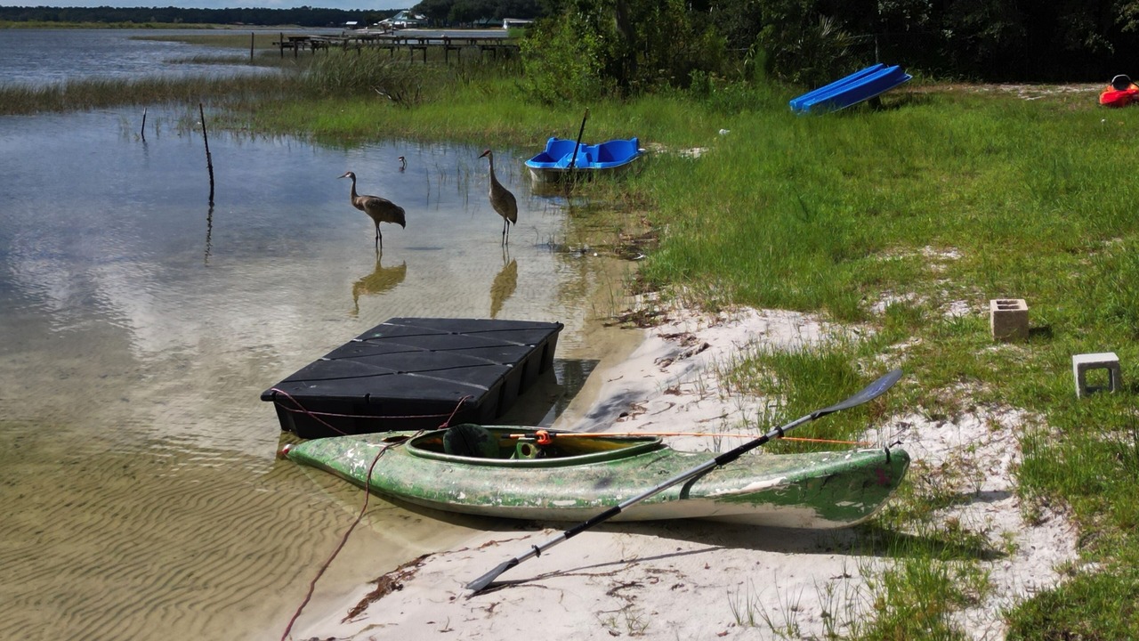 Photo of Outdoor in Salt Springs