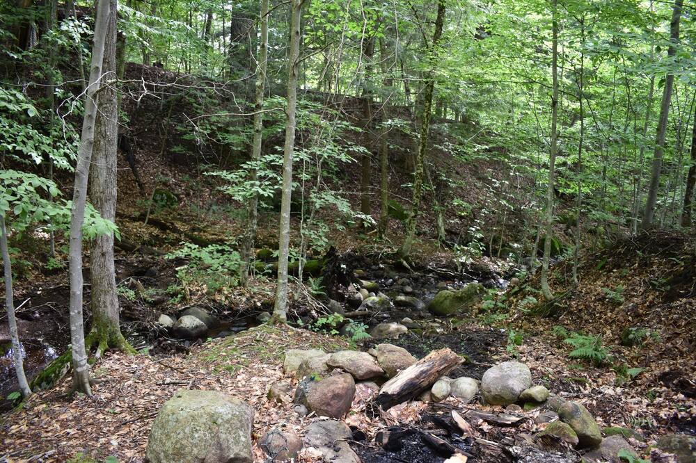 Photo of Others in Old Forge