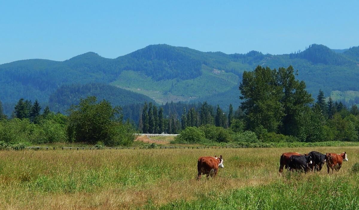 Photo of Outdoor in Enumclaw