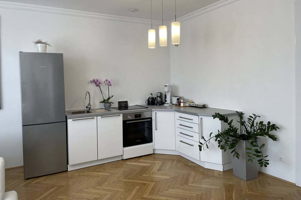 Photo of Kitchen in Budavar