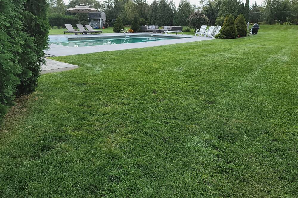 Photo of Outdoor in Calverton