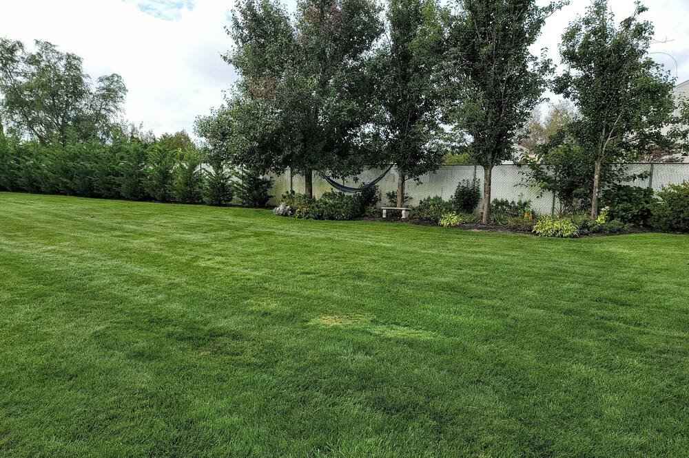 Photo of Outdoor in Calverton