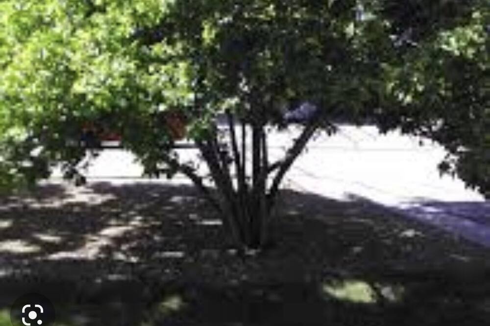 Photo of Outdoor in Miller Beach