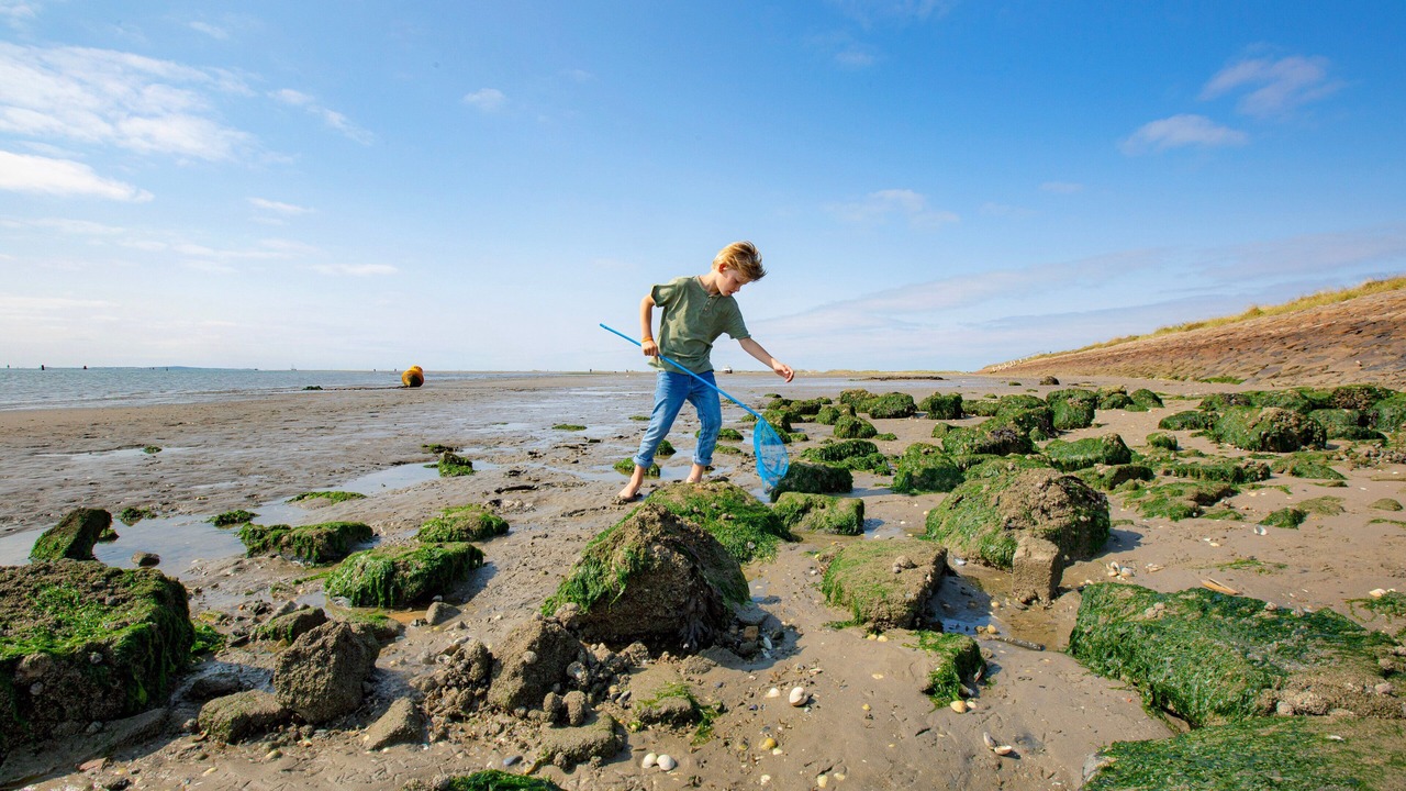 Photo of Others in West-Terschelling