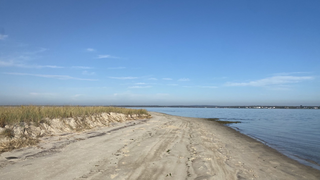 Photo of Others in West Hampton Dunes