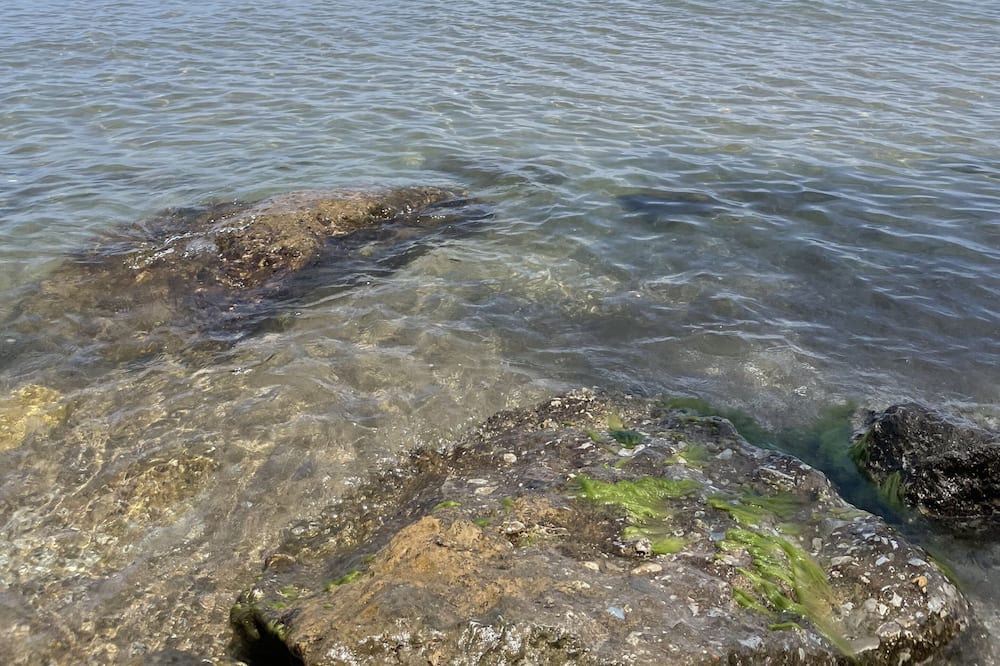 Photo of Others in Cedar Lake