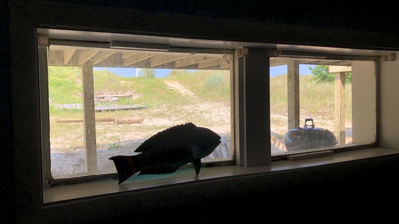Photo of Others in Cottage Line