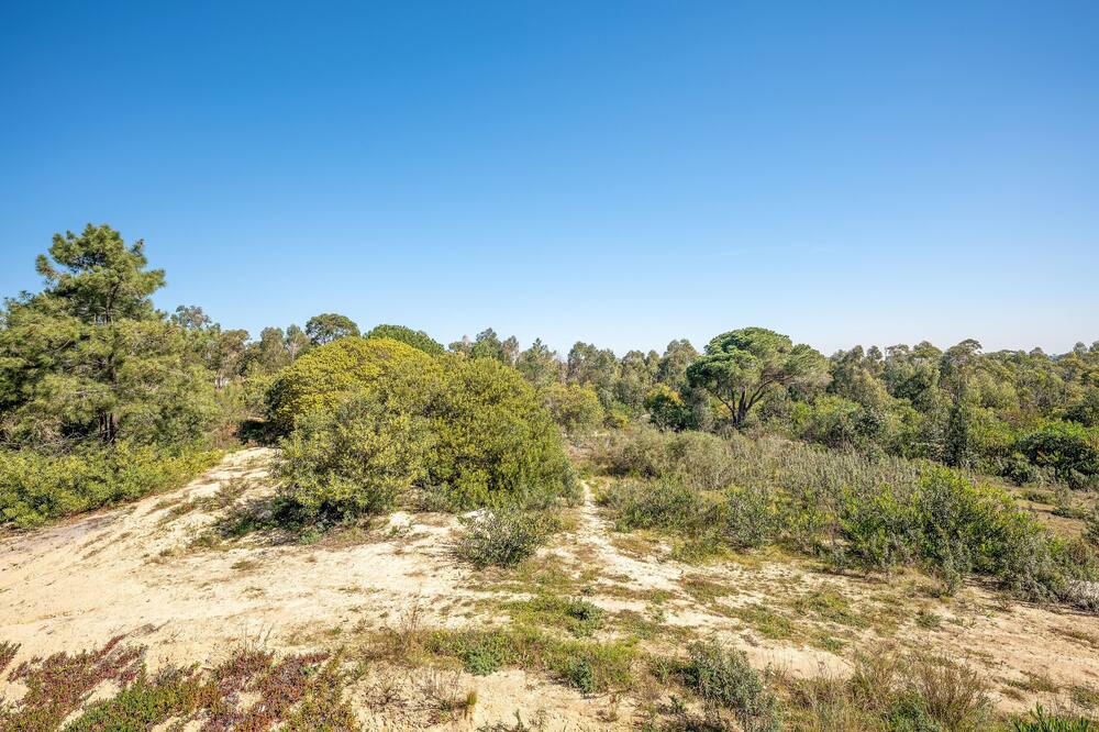 Photo of Outdoor in Corroios