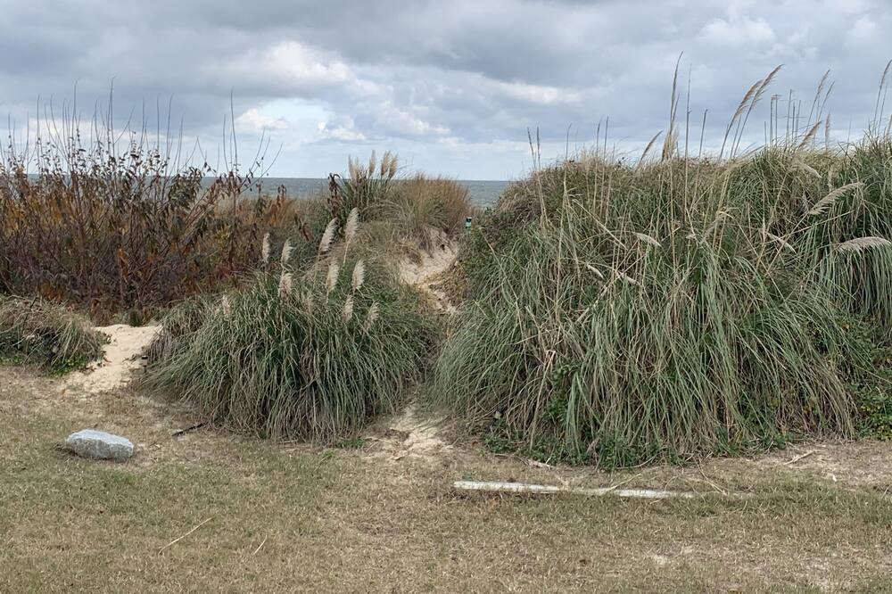 Photo of Outdoor in Bayview