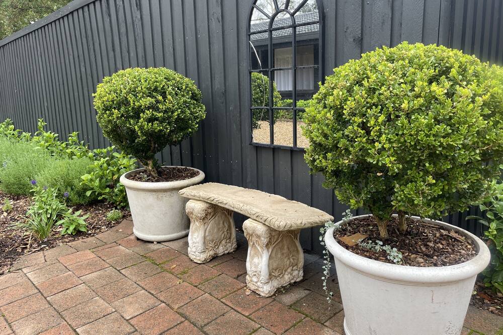 Photo of Outdoor in Glenbrook