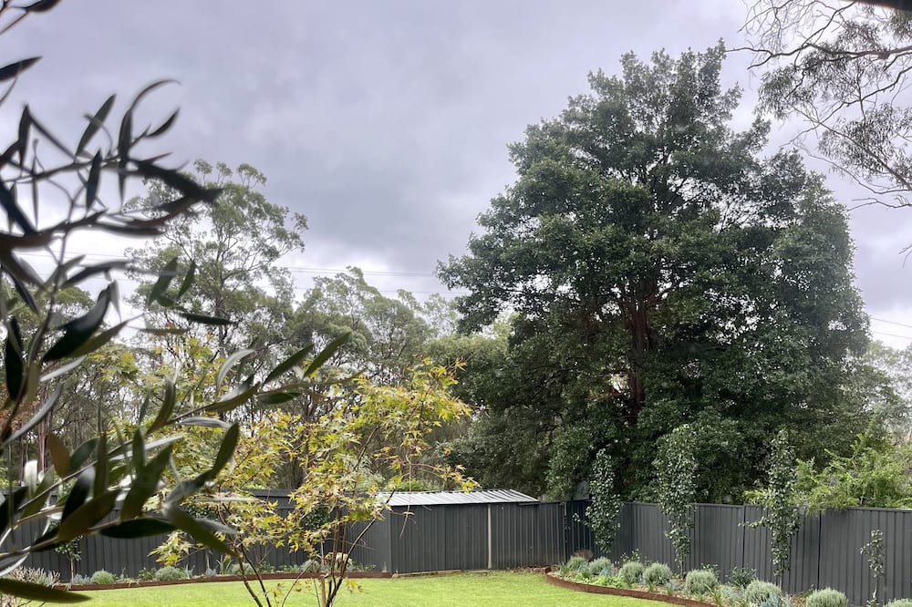 Photo of Outdoor in Glenbrook
