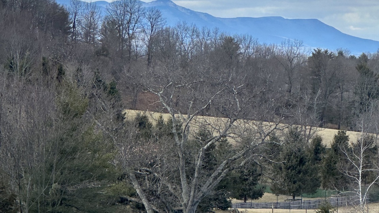 Photo of Outdoor in Hollowville