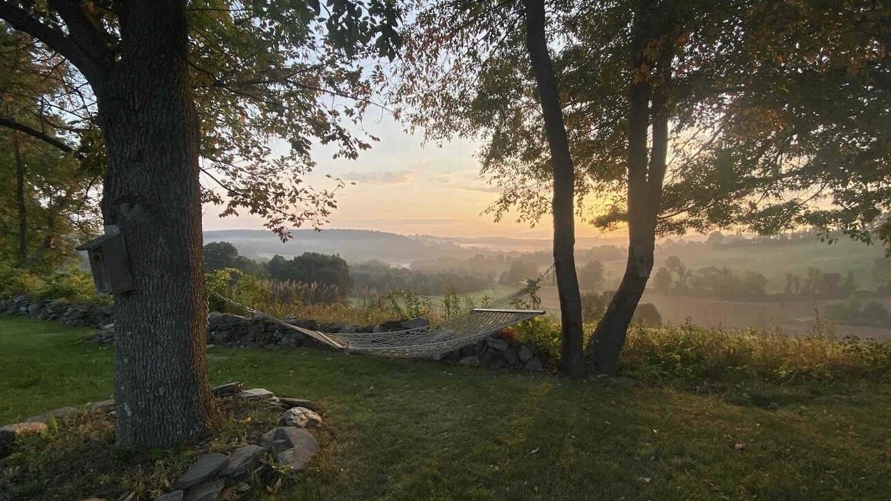 Photo of Others in Hollowville
