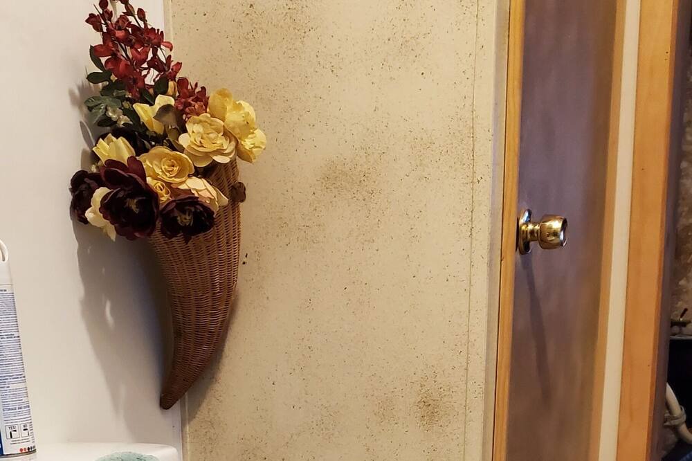 Photo of Bathroom in Wells