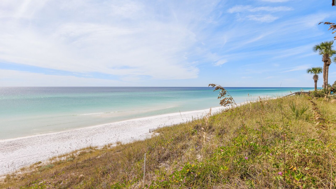 Photo of Others in Sugarwood Beach