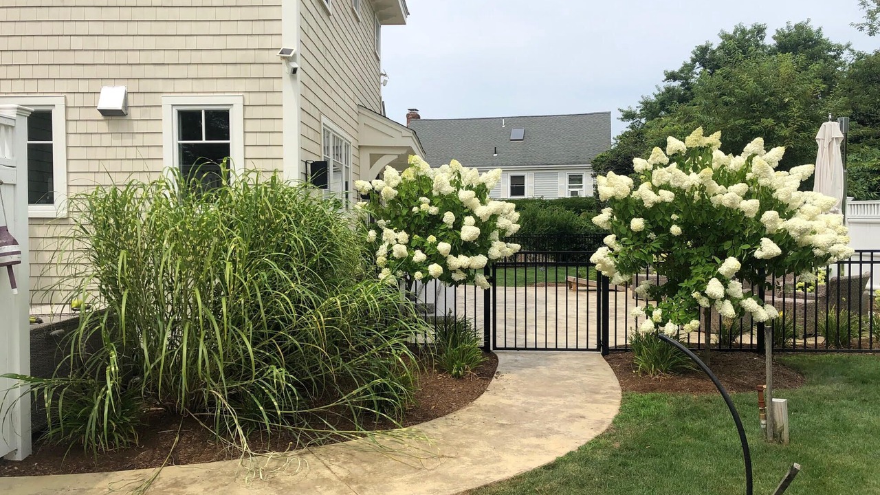 Photo of Outdoor in Brewster