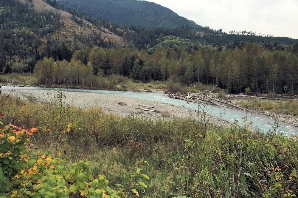 Photo of Outdoor in Maple Falls