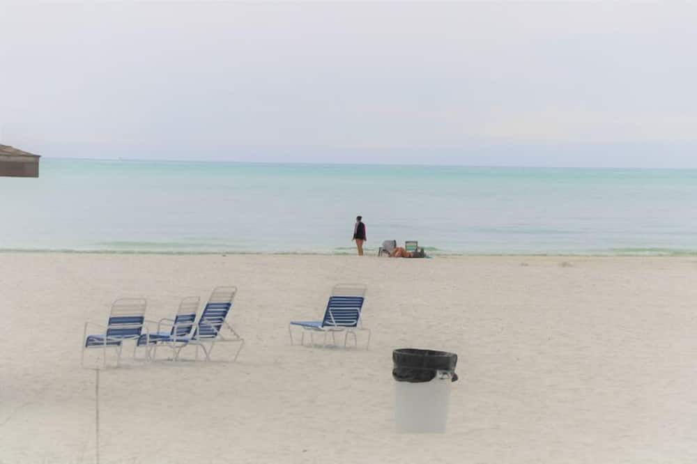 Photo of Others in Aloha Kai