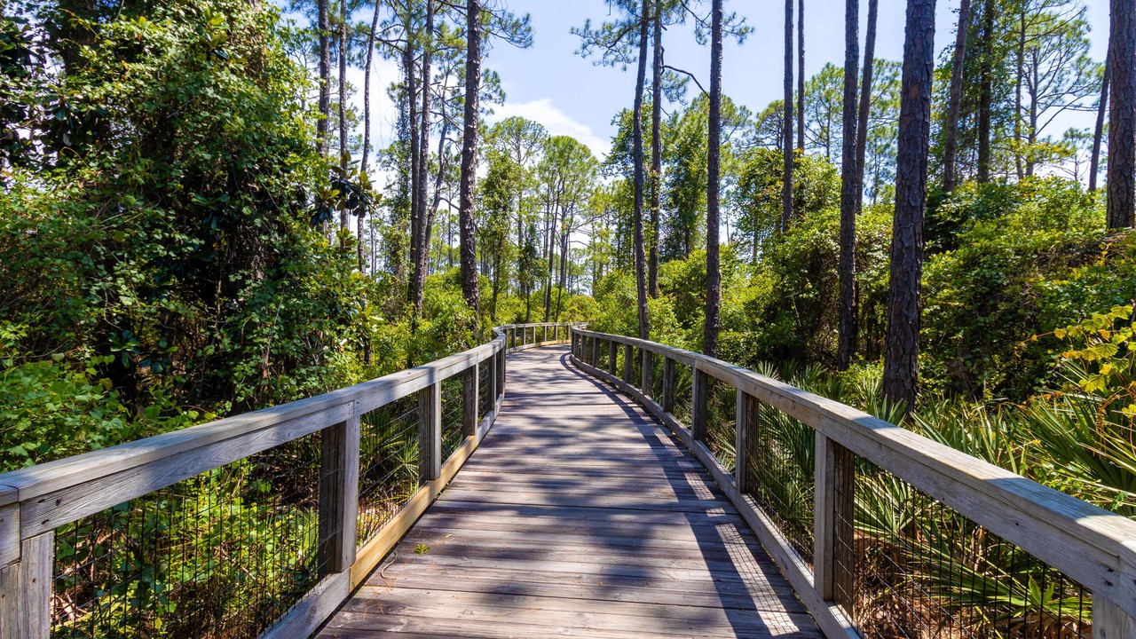 Photo of Outdoor in WaterSound Beach