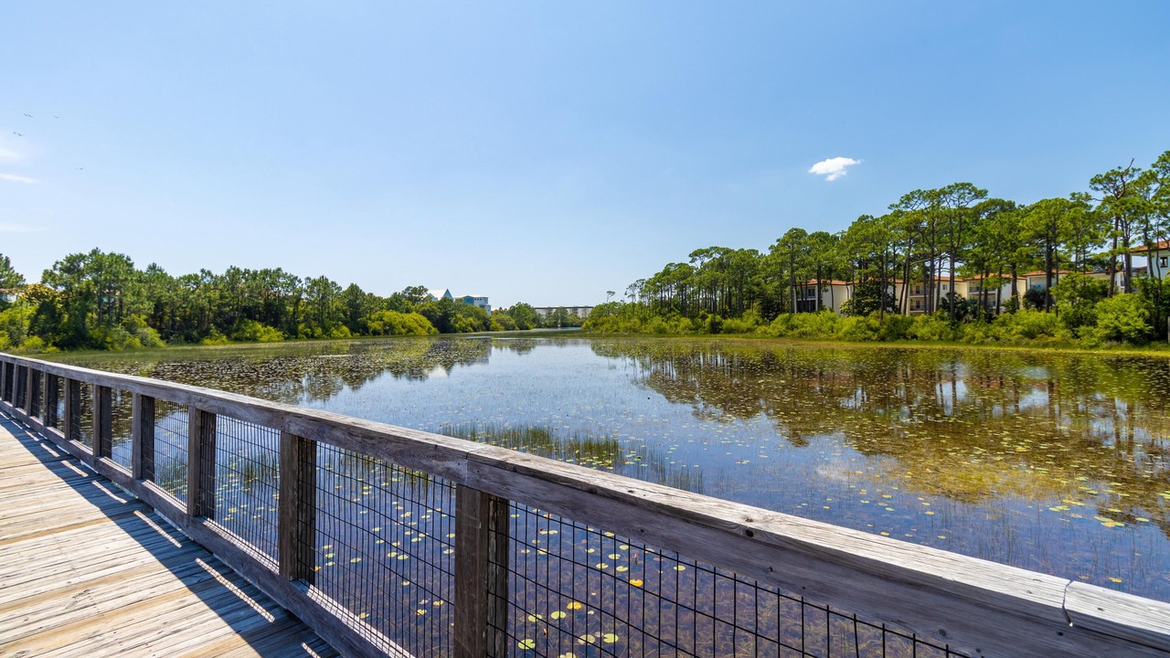 Photo of Outdoor in WaterSound Beach