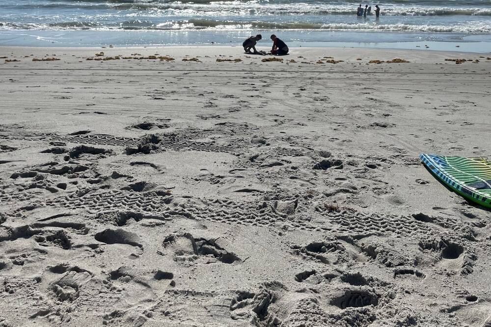 Photo of Others in Cocoa Isles