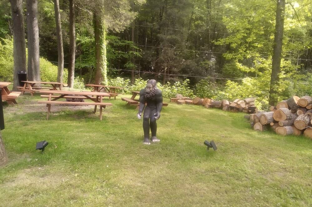 Photo of Outdoor in Haysi
