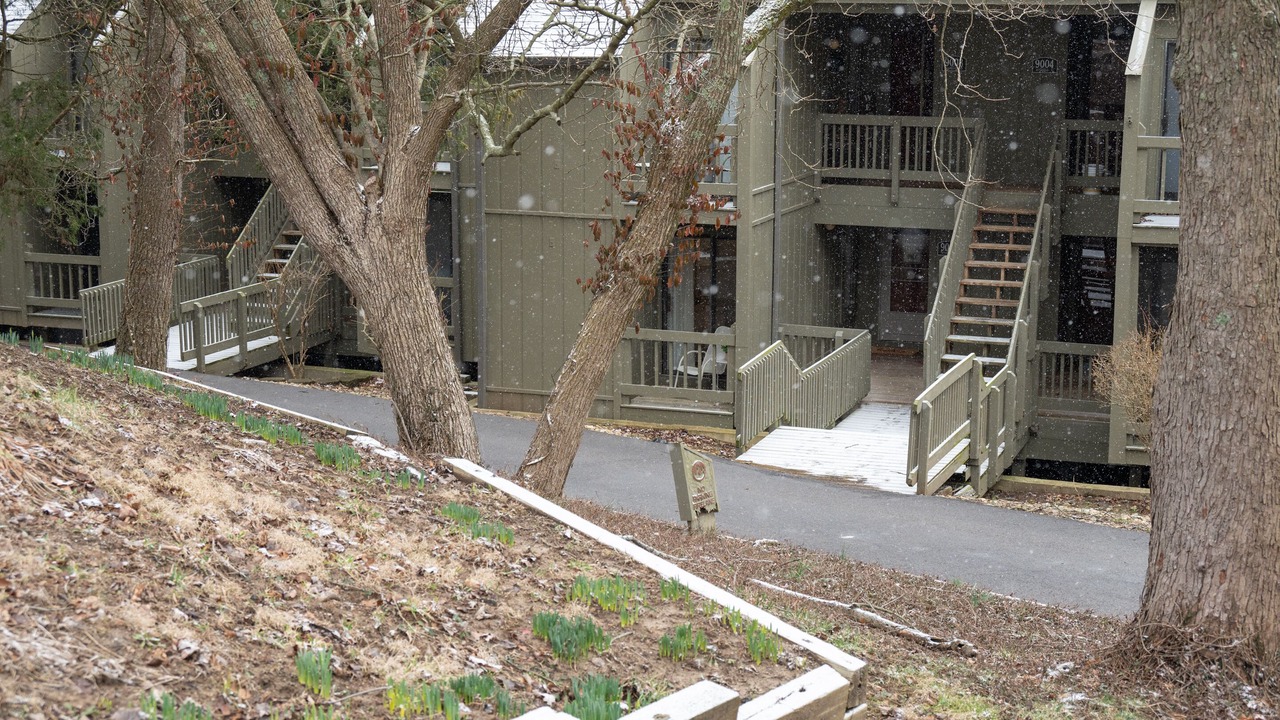Photo of Outdoor in Avoca