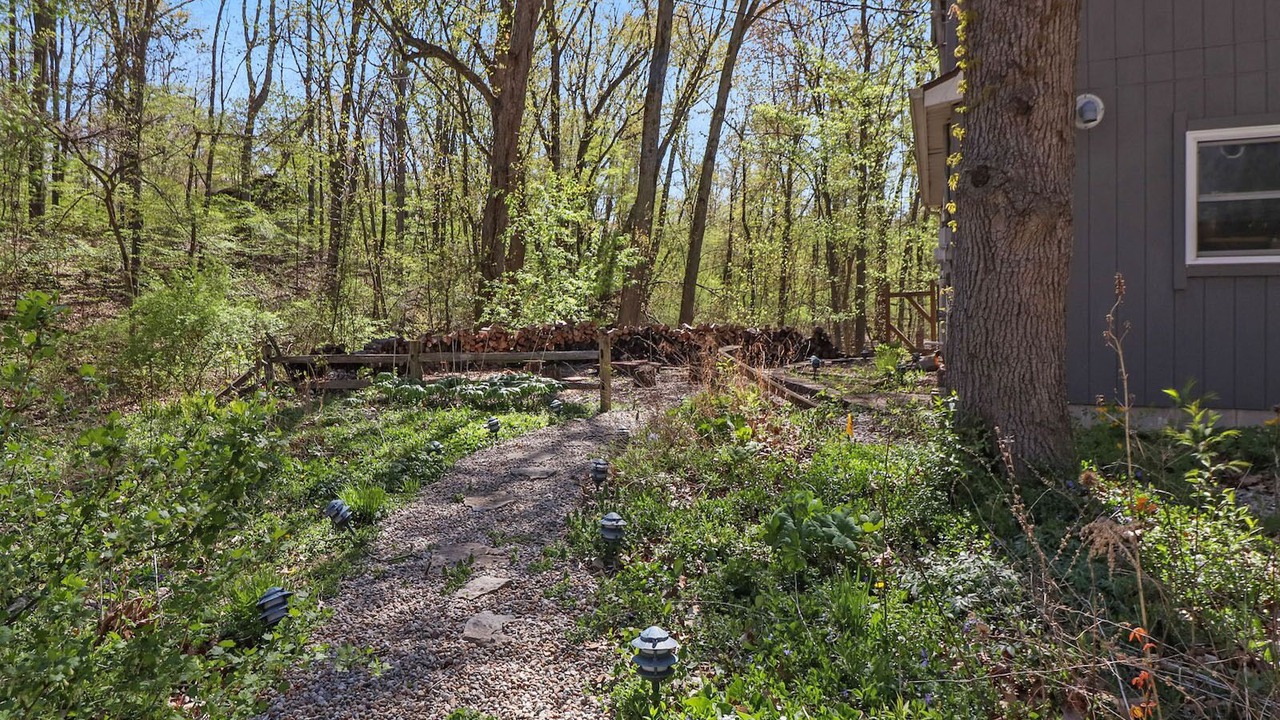 Photo of Outdoor in Wheeler