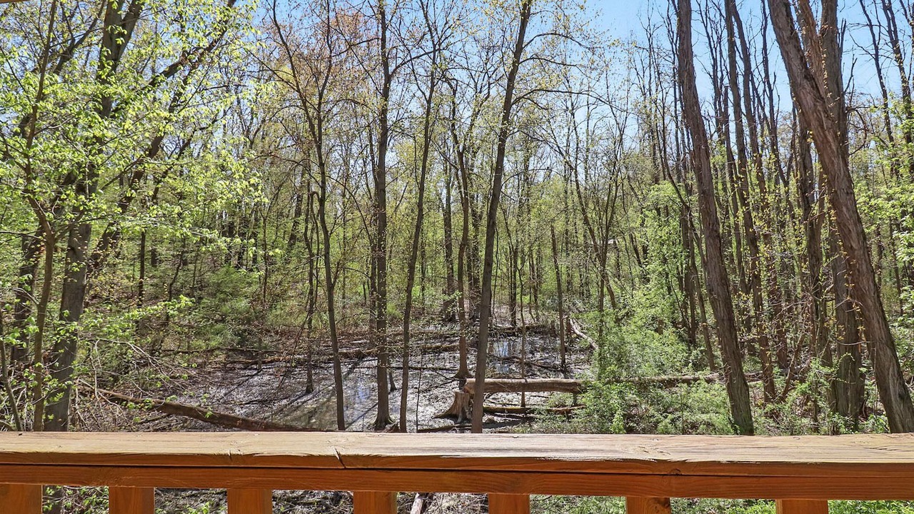 Photo of Outdoor in Wheeler