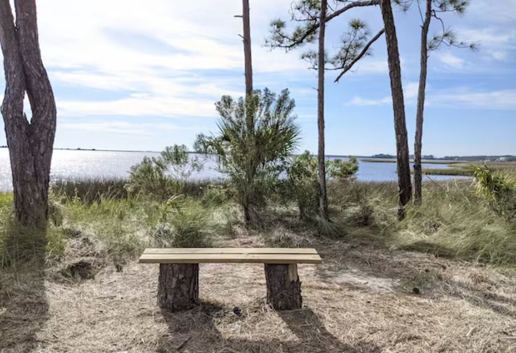 Photo of Outdoor in Panacea