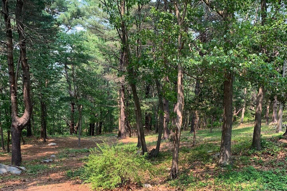 Photo of Outdoor in Gloucester