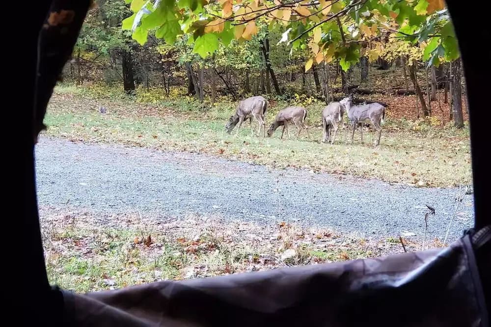 Photo of Others in Clinton Corners