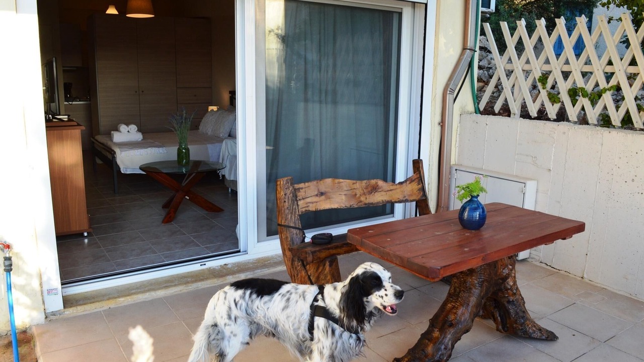 Photo of Others in Pylos