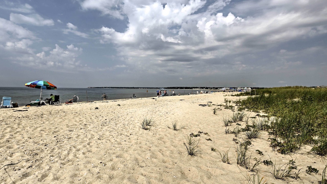 Photo of Others in West Hyannisport