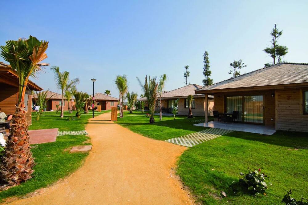 Photo of Outdoor in Crevillente