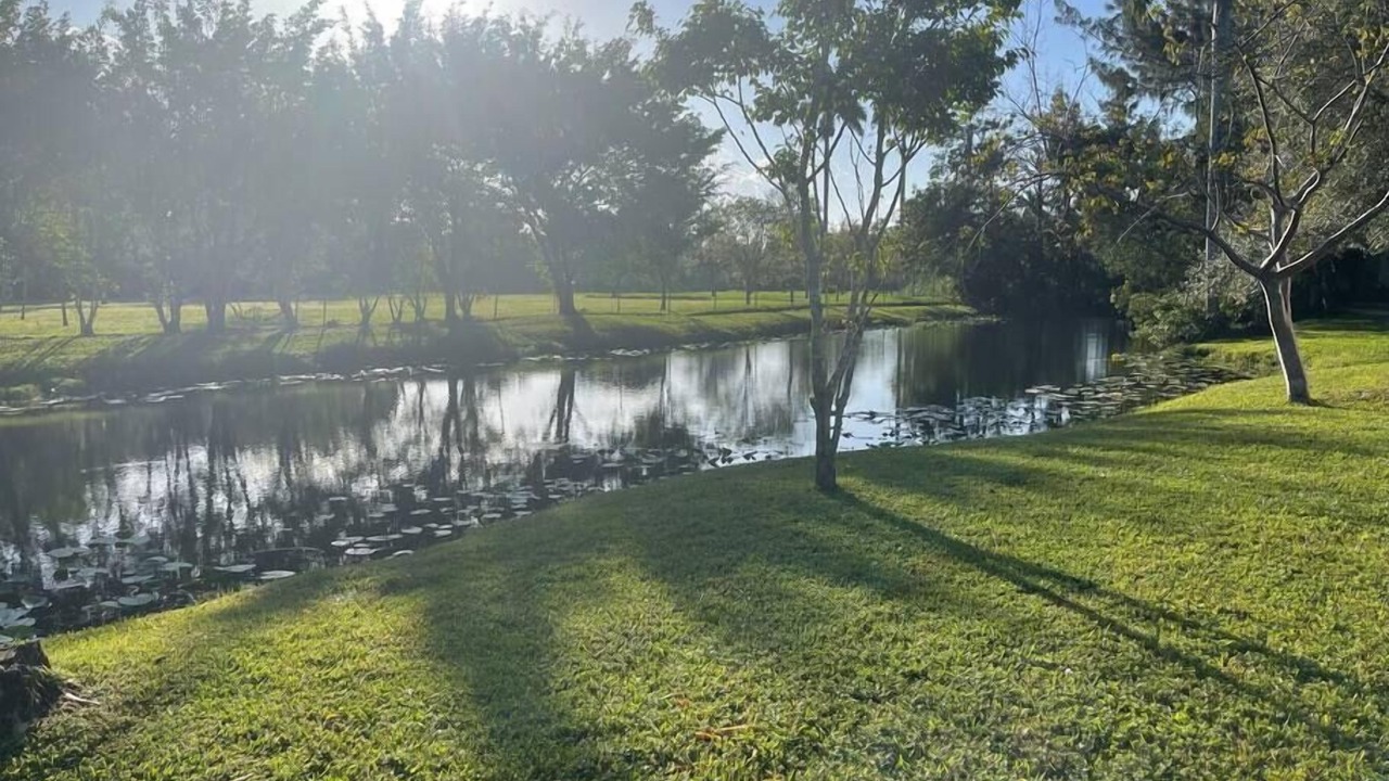 Photo of Others in Davie