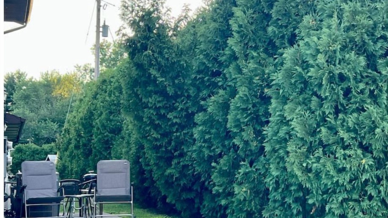 Photo of Outdoor in Chesterton