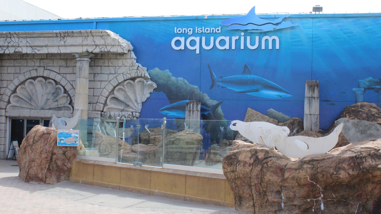 Photo of Outdoor in Aquebogue
