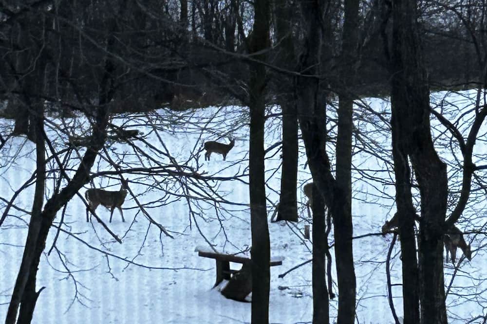Photo of Others in Brockport
