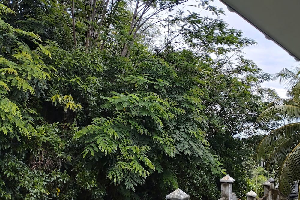 Photo of Patio Balcony in Anse Forbans