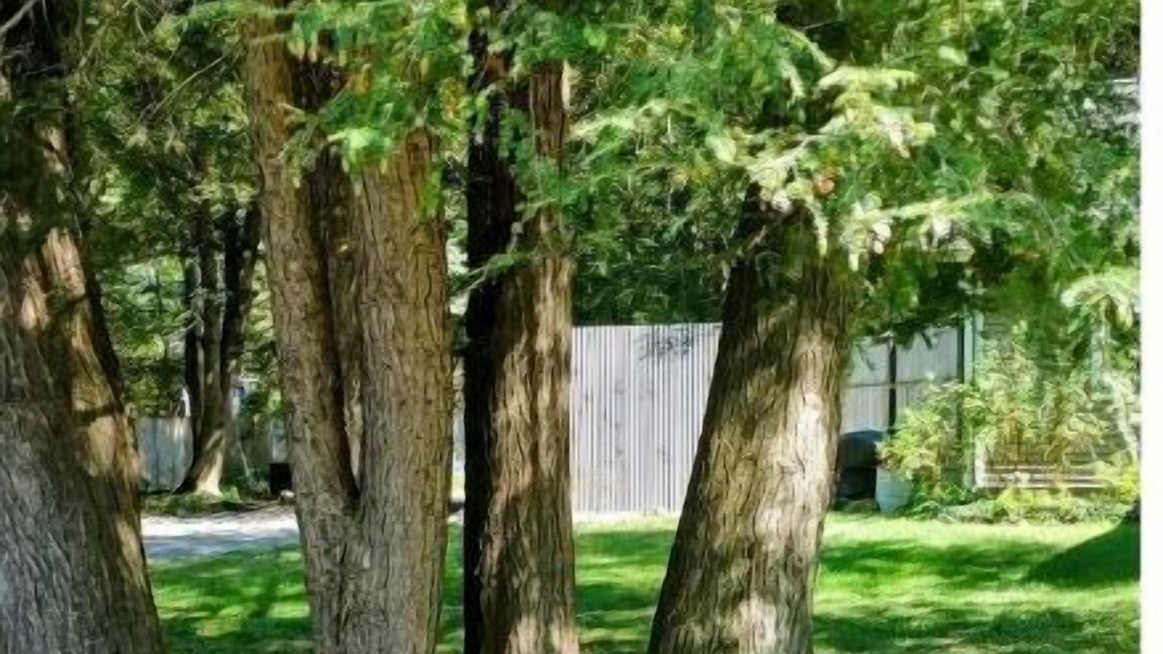 Photo of Outdoor in Amherst