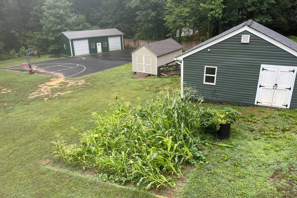 Photo of Outdoor in Chester