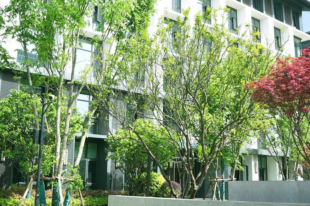Photo of Outdoor in Jianyang