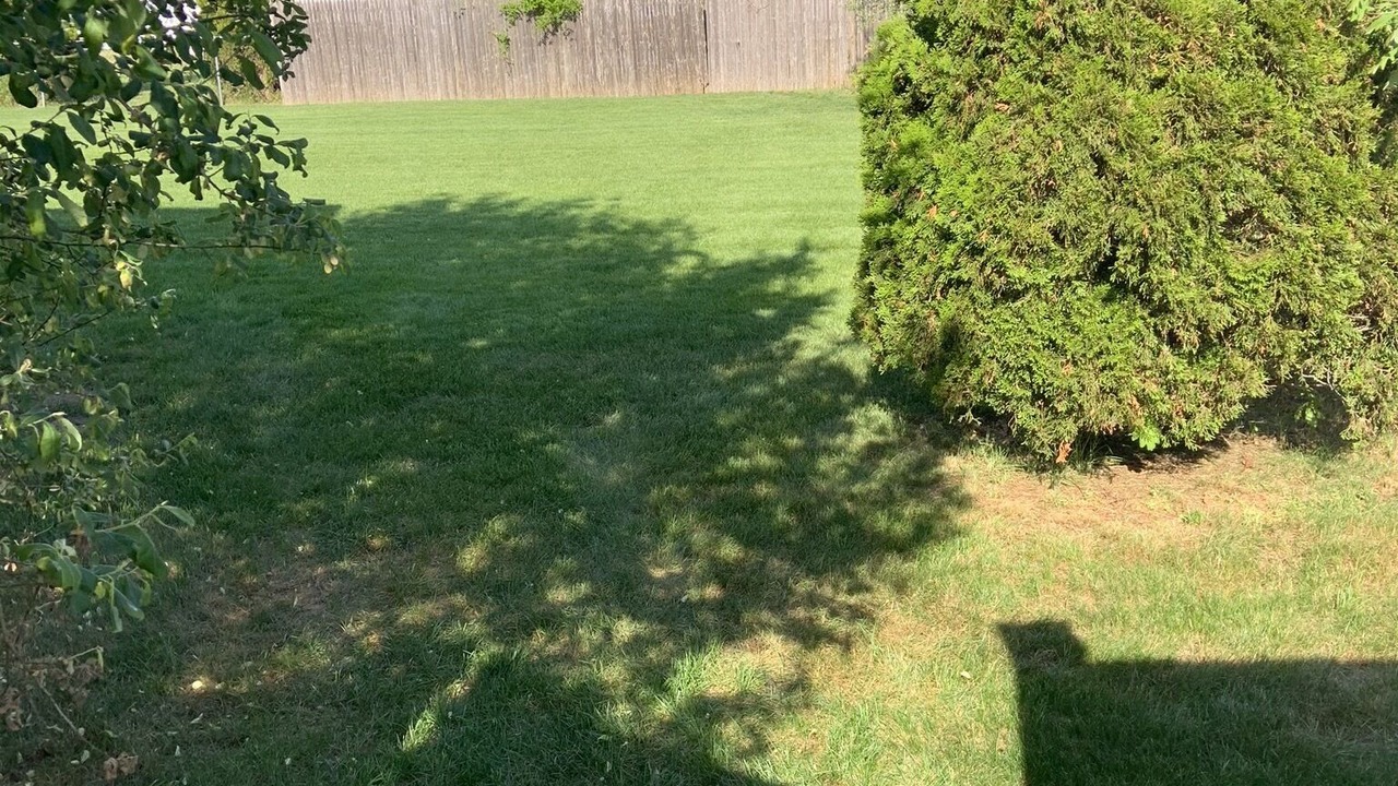 Photo of Outdoor in Coram
