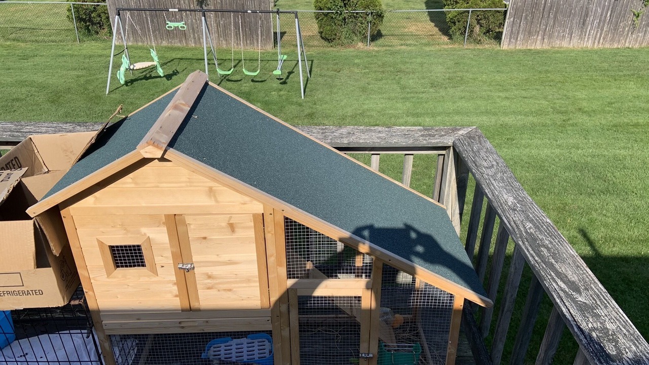 Photo of Outdoor in Coram