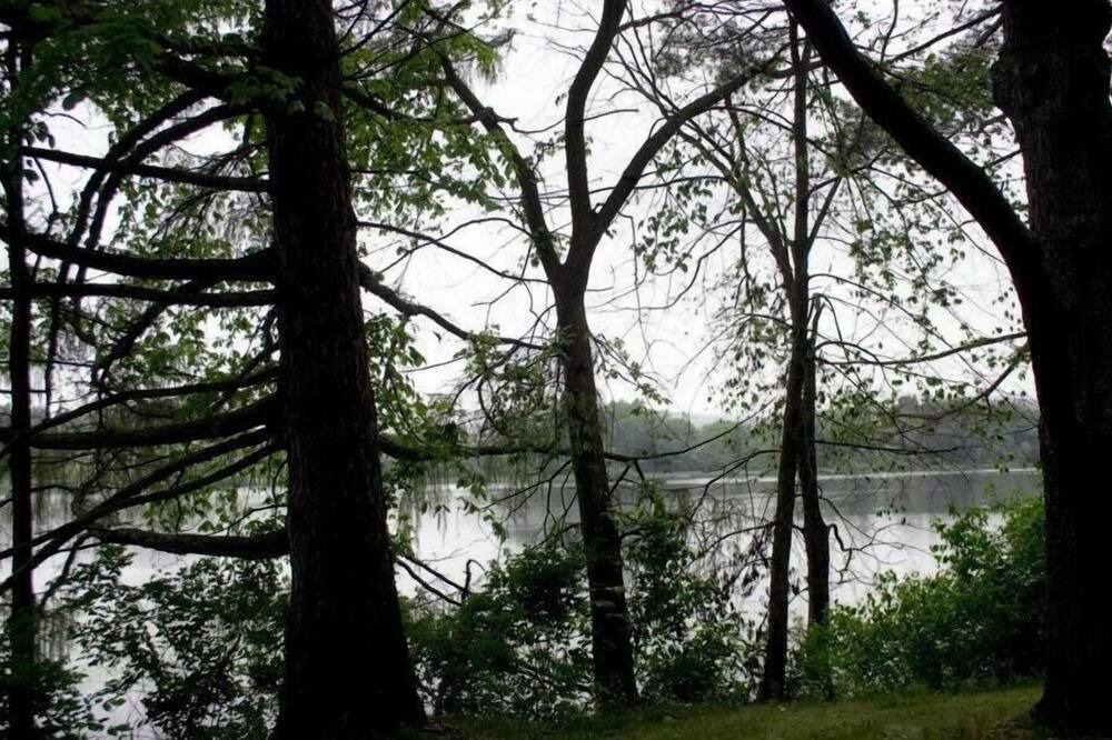 Photo of Others in Copake Falls