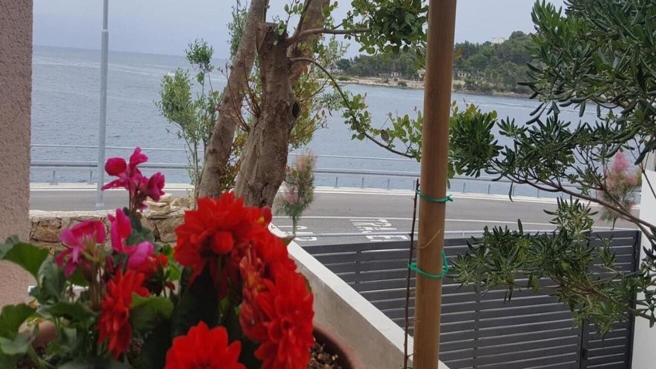 Photo of Outdoor in Rogac